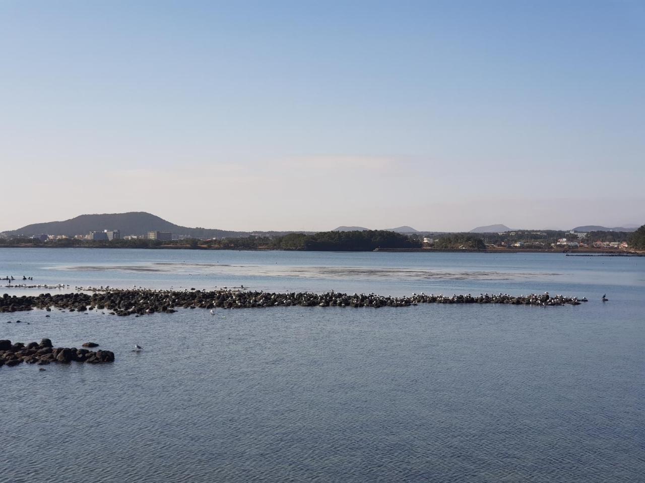 Purmir Pension Seogwipo Bagian luar foto
